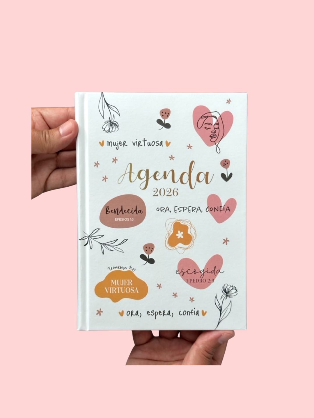Colección de Agendas 2026
