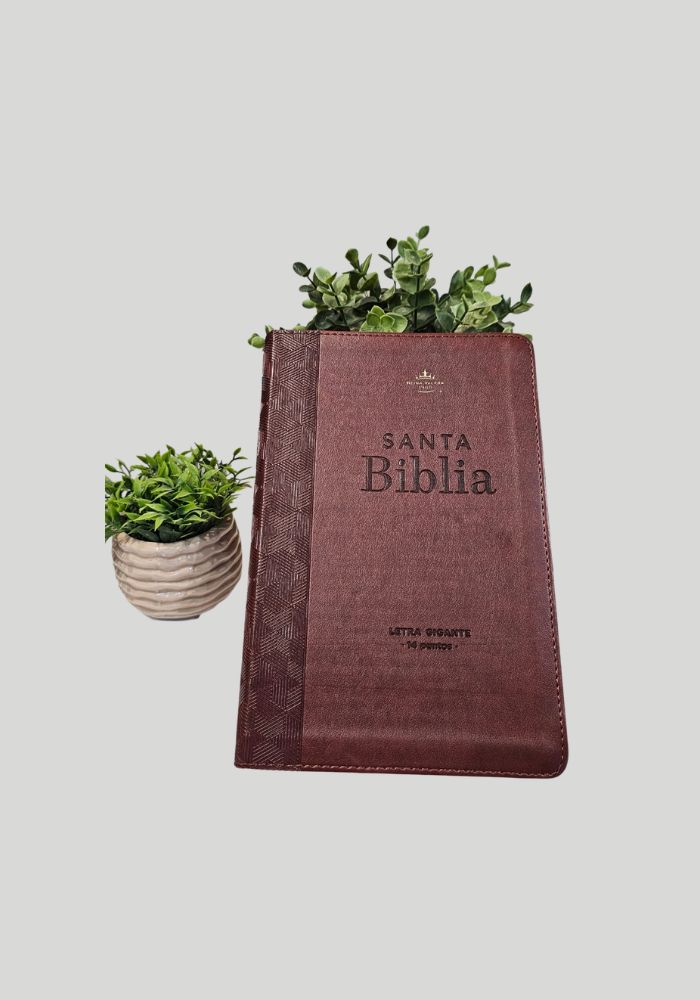 Santa Biblia Ilustración Artesanal