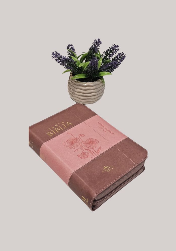Santa Biblia Acabados Dorados