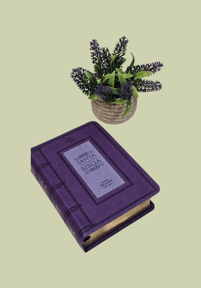 Santa Biblia Edición Premium