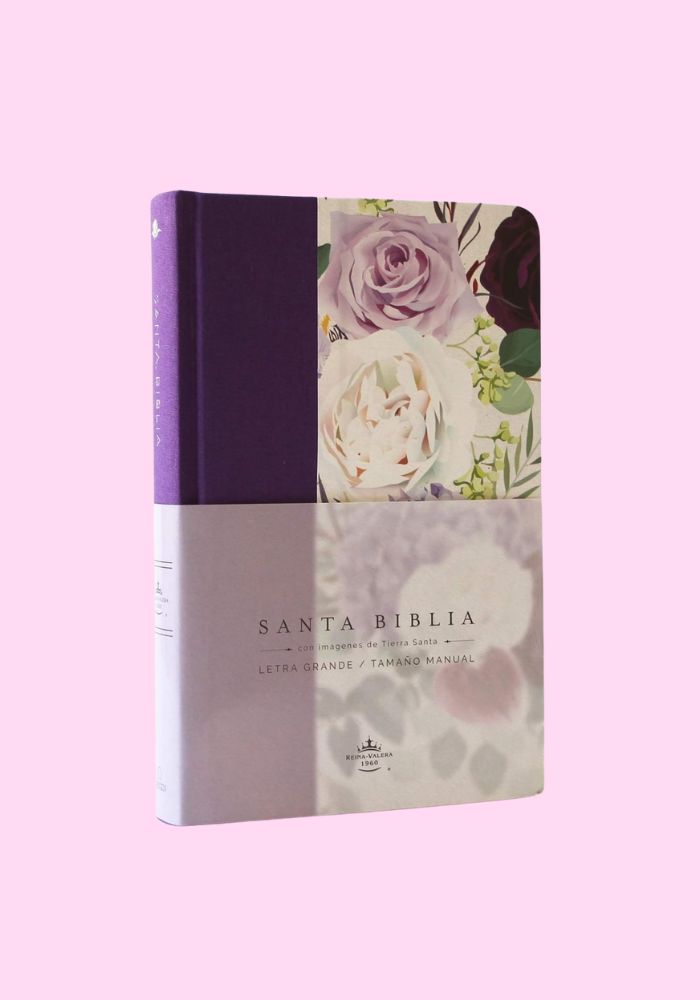 Biblia 2